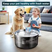 2.6Gal/10L Dog Water Fountain for Dogs & Cats & Multiple Pets D2340