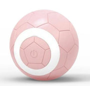 Interactive Electric Pet Toy Ball
