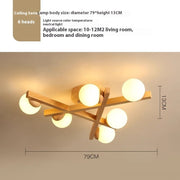 Wooden Style Living Room With Simple And Modern Ceiling Light