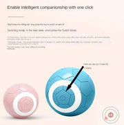 Interactive Electric Pet Toy Ball