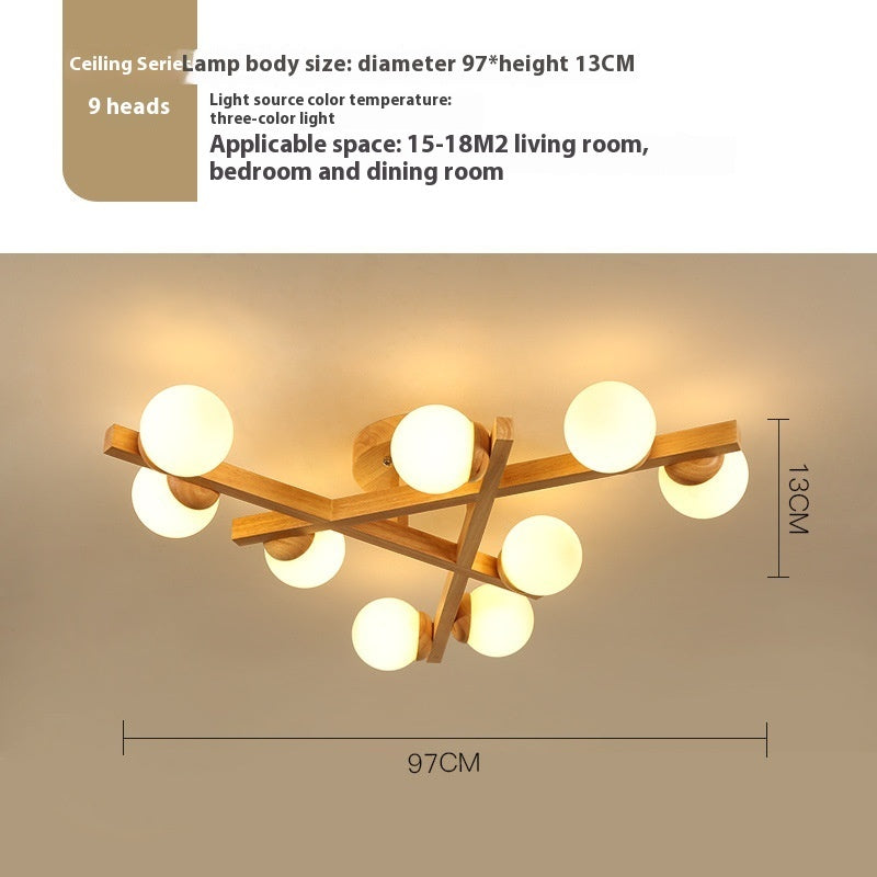 Wooden Style Living Room With Simple And Modern Ceiling Light