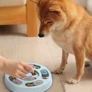 Dog Bowl