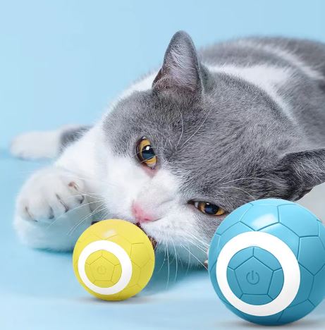 Interactive Electric Pet Toy Ball