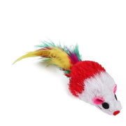 Kitten Toys