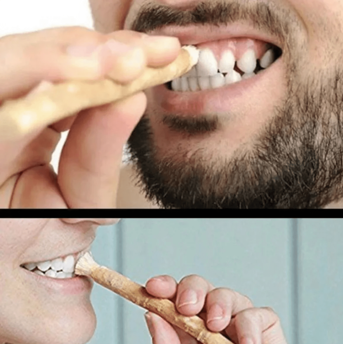 Miswak Tooth Cleaning Stick
