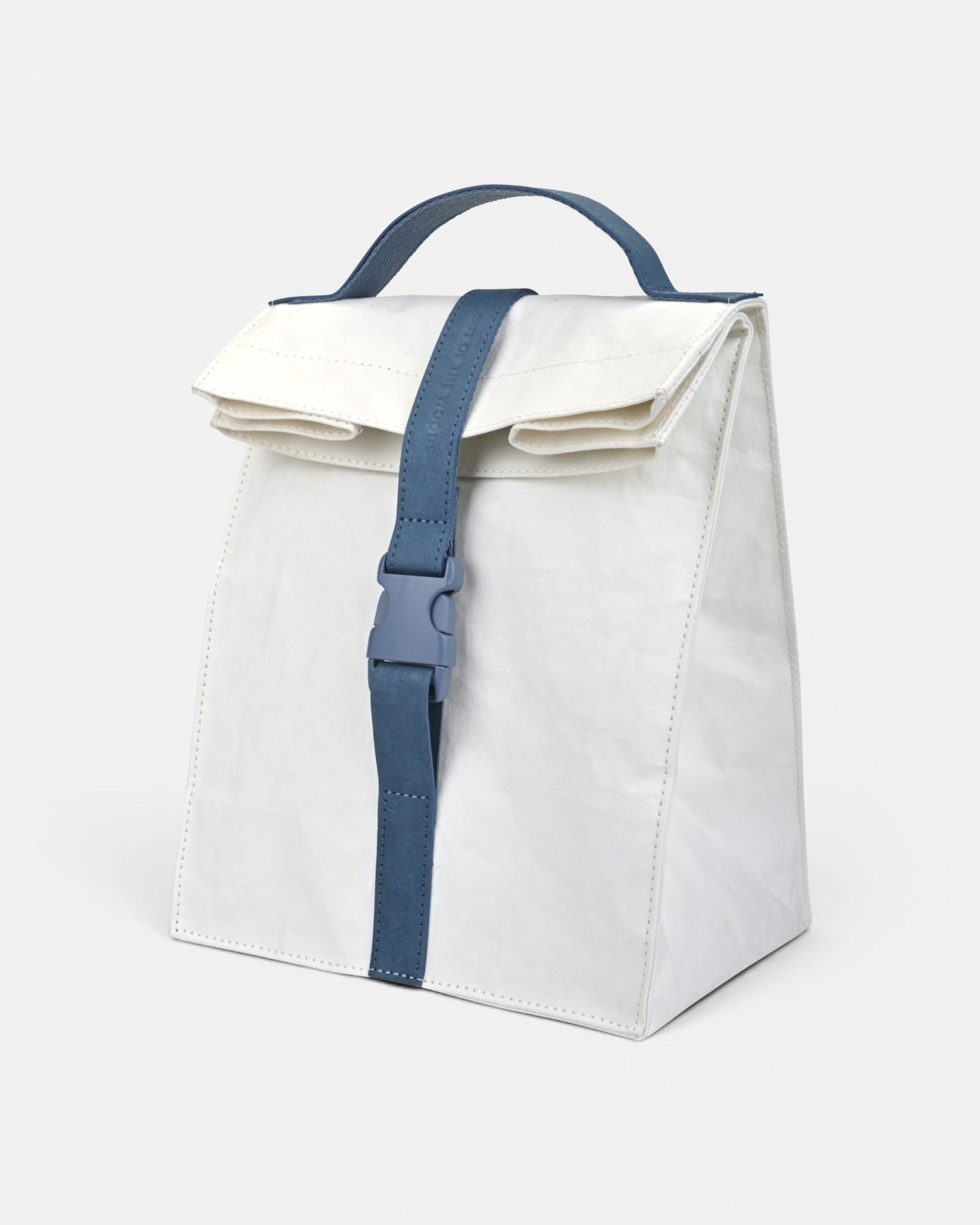 Paper Sack Insulated Lunch Cooler
