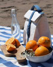 Paper Sack Insulated Lunch Cooler