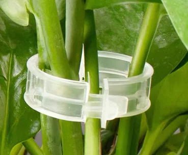 Plant Support Clips for Vines – 100 Pack