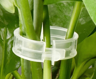 Plant Support Clips for Vines – 100 Pack