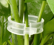 Plant Support Clips for Vines – 100 Pack