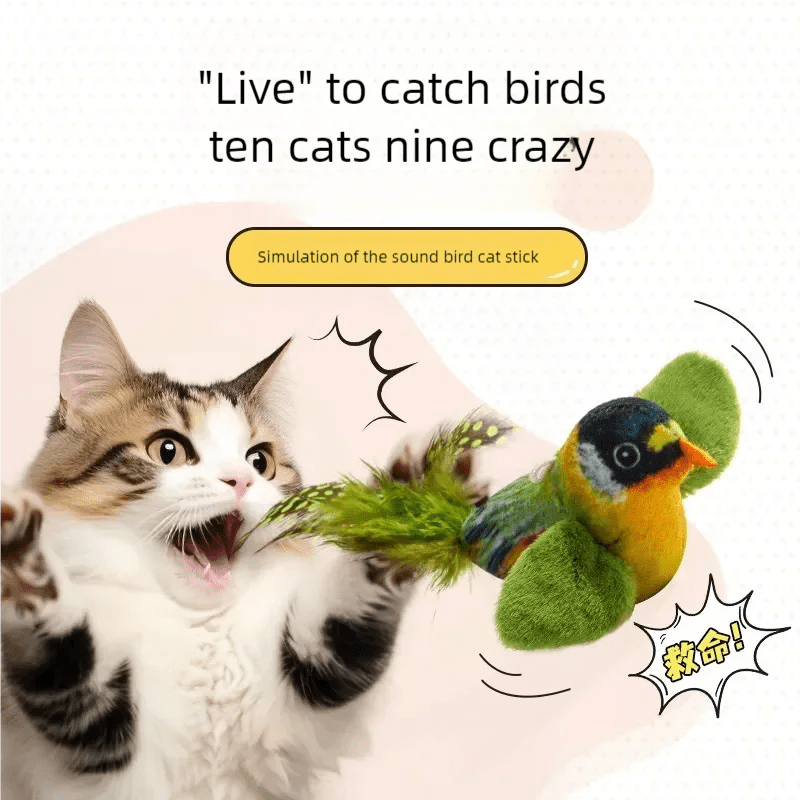 Simulation Bird  Cat Toys