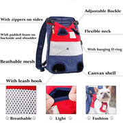 Striped Mesh Dog Backpack for Travel and Hiking